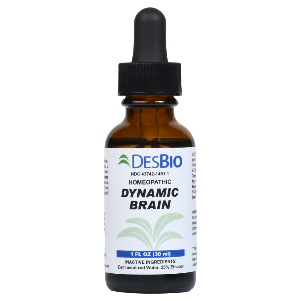 Dynamic Brain