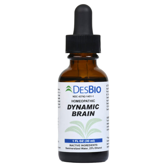 Dynamic Brain