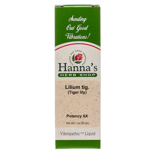 Lilium tig. 6X