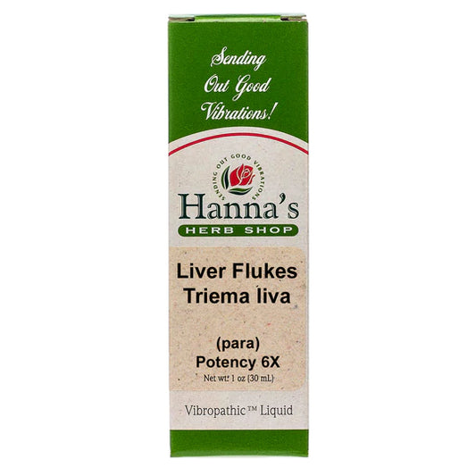Liver Flukes 6X