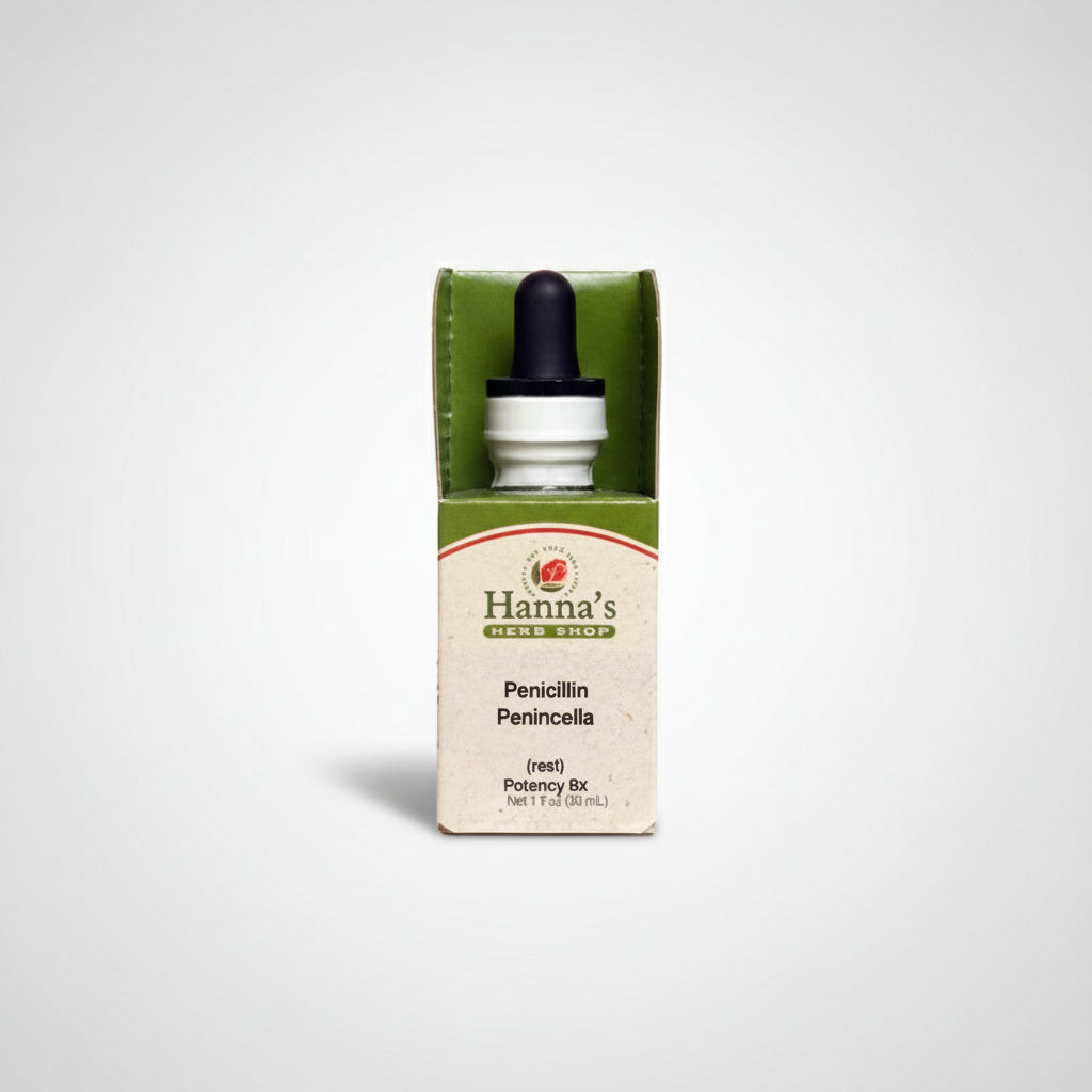 Penicillin 6X
