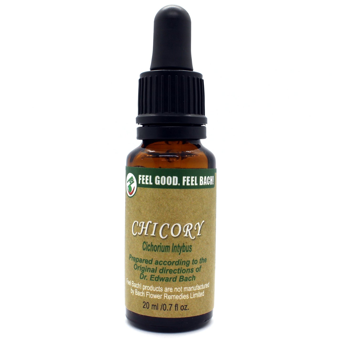Chicory