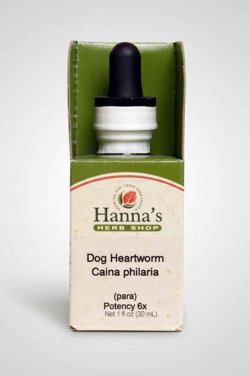 Dog Heartworm 6X