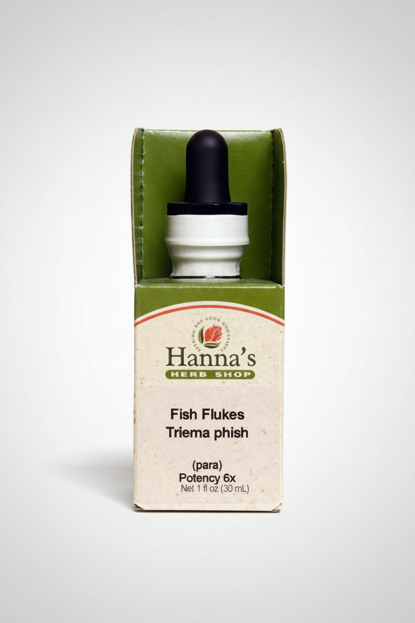 Fish Flukes 6X
