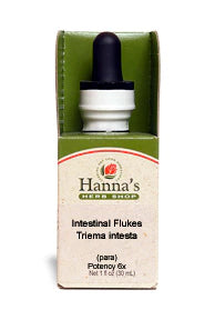 Intestinal Flukes 6X