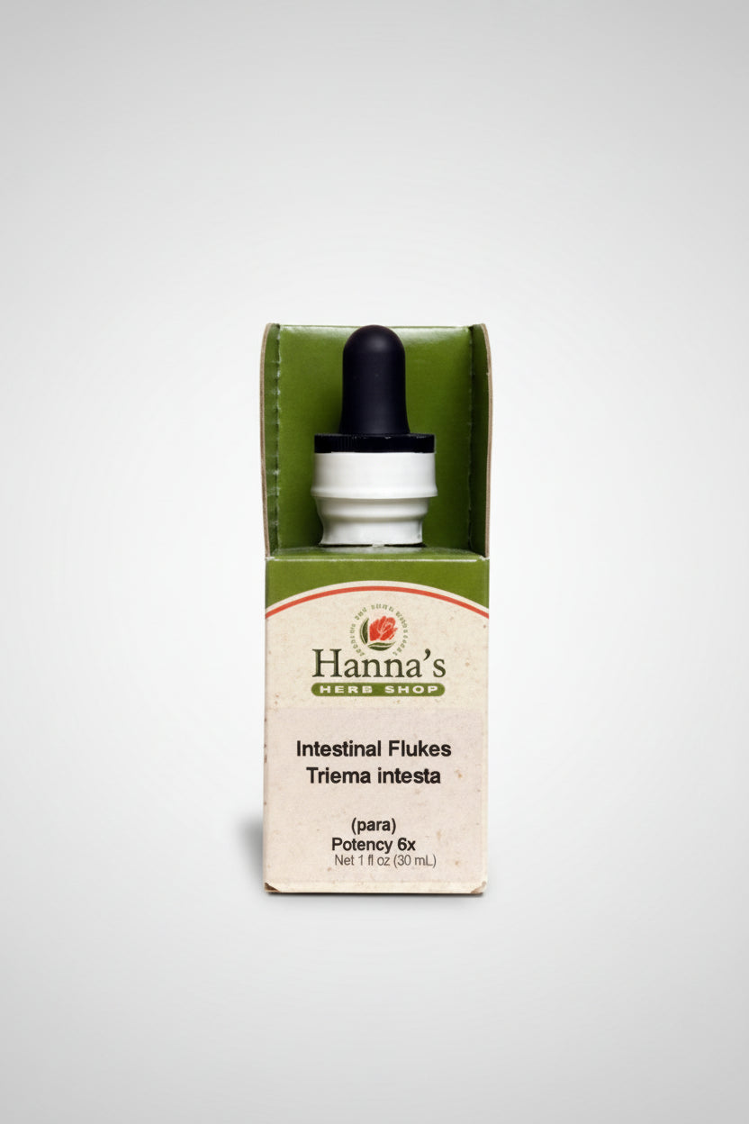 Intestinal Flukes 6X