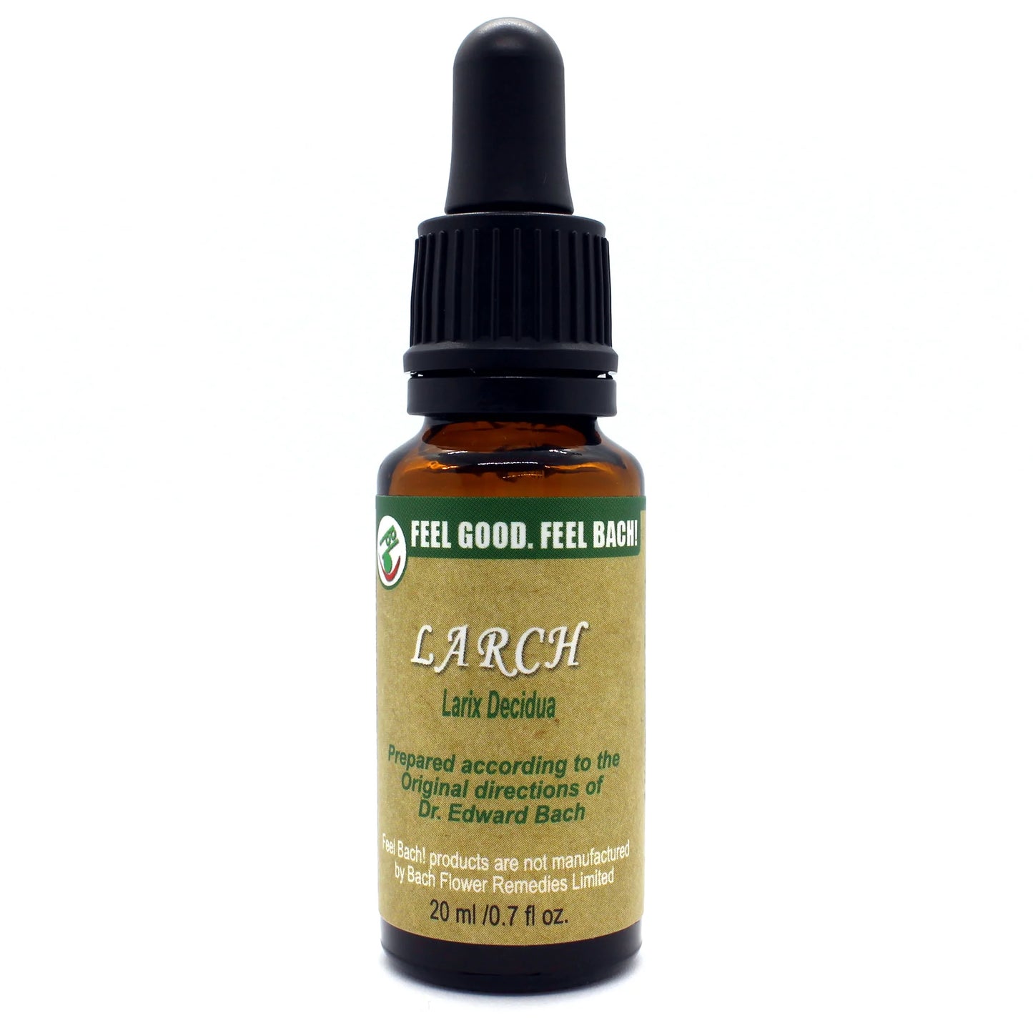 Larch