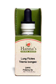 Lung Flukes 6X