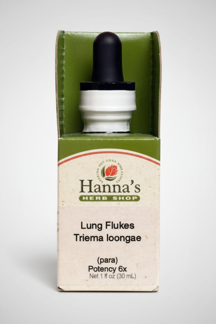 Lung Flukes 6X