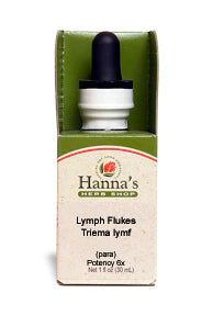 Lymph Flukes 6X