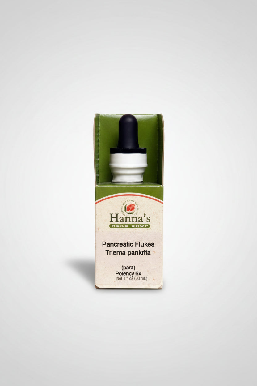 Pancreatic Flukes 6X