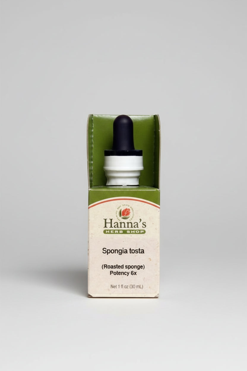 Spongia tosta 6X