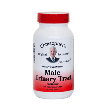 Male Urinary Tract